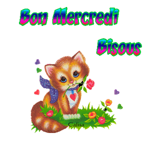 Gif animé Bon mercredi chat
